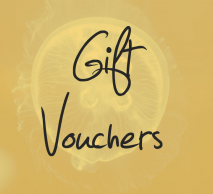 gift vouchers yellow