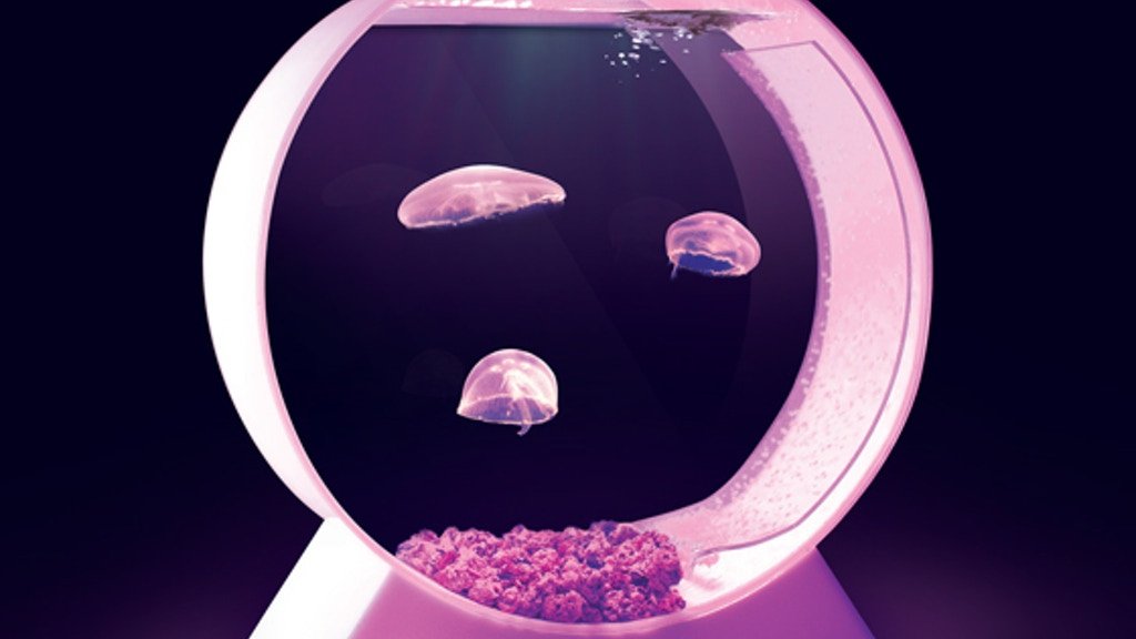 Medusa Art Art Desktop Jellyfish Aquarium